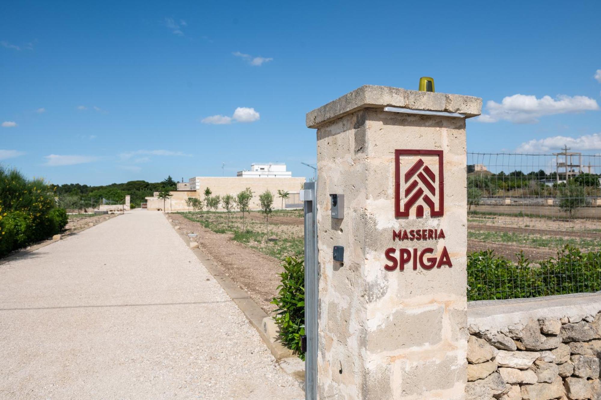 Masseria Spiga Gravina in Puglia Esterno foto