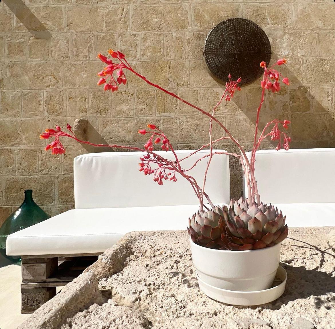 Masseria Spiga Gravina in Puglia Esterno foto