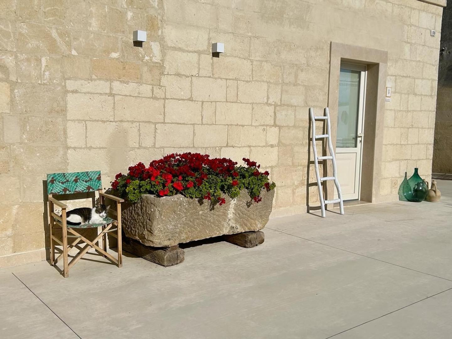 Masseria Spiga Gravina in Puglia Esterno foto