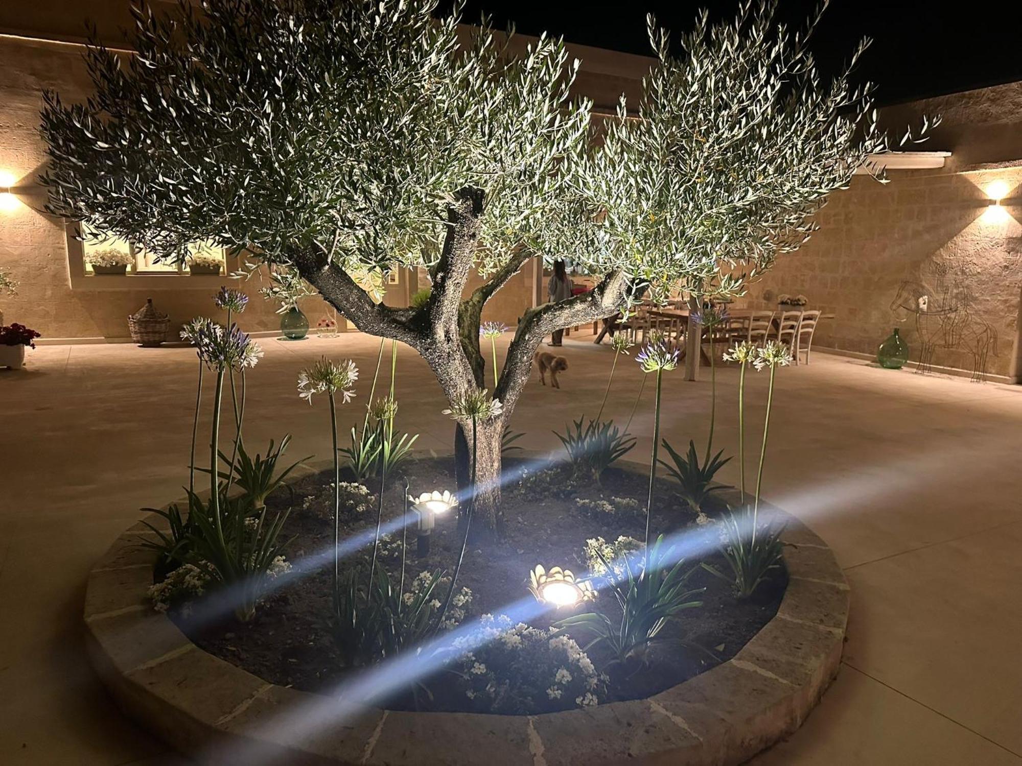 Masseria Spiga Gravina in Puglia Esterno foto