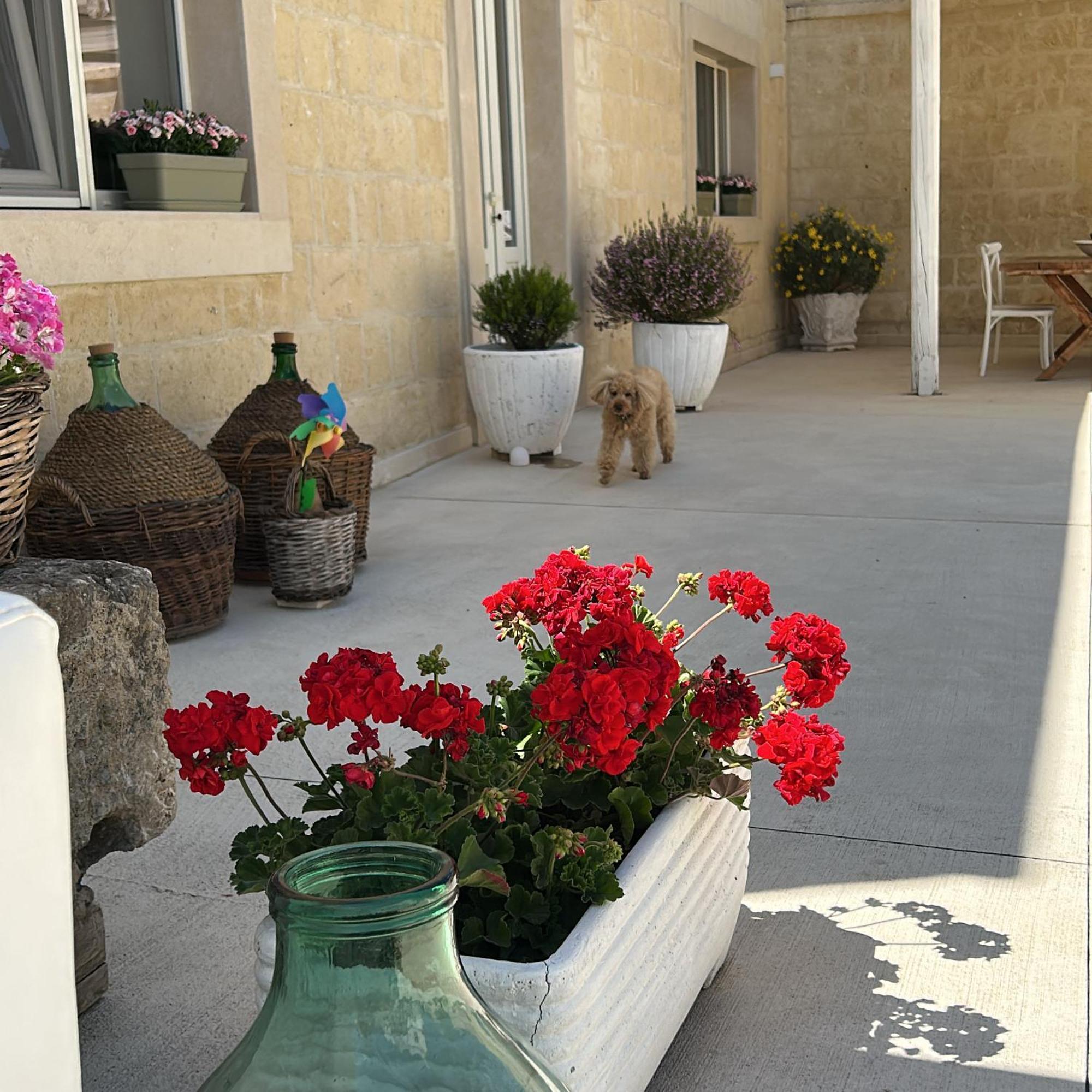Masseria Spiga Gravina in Puglia Esterno foto
